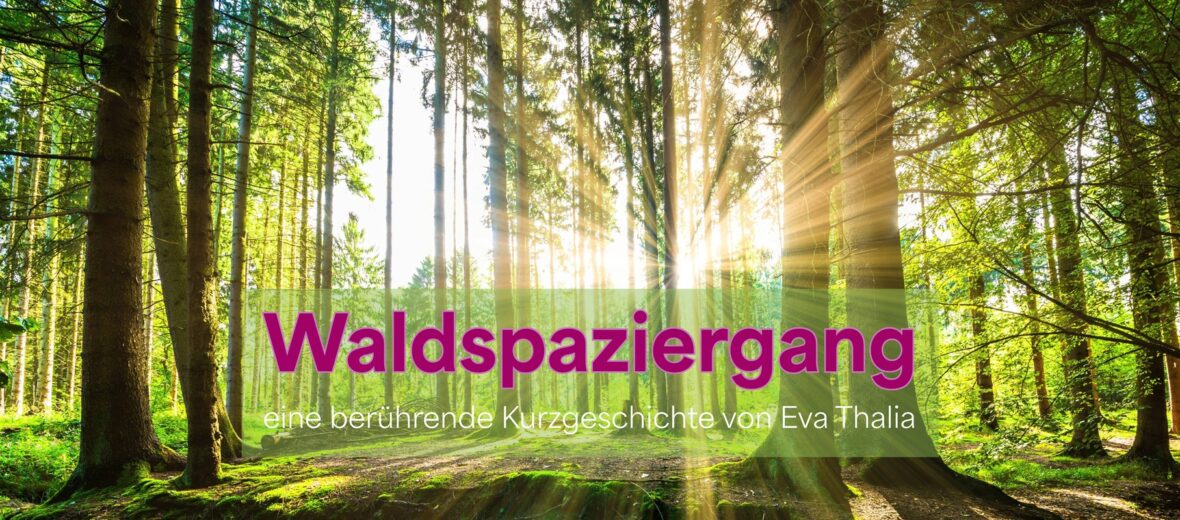 waldspaziergang