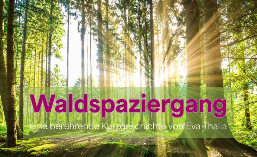 waldspaziergang